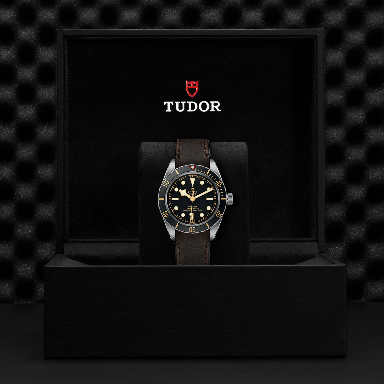 TUDOR Black Bay 58 Watch - M79030N-0002 at Korman Fine Jewelry